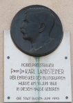 Langsteiner Karl (Mediziner)